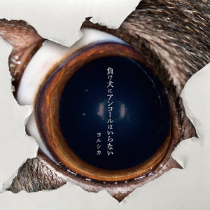 久草在在线视频
