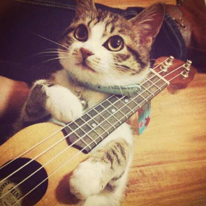 久草在在线视频
