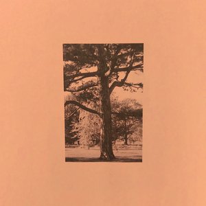 久草在在线视频
